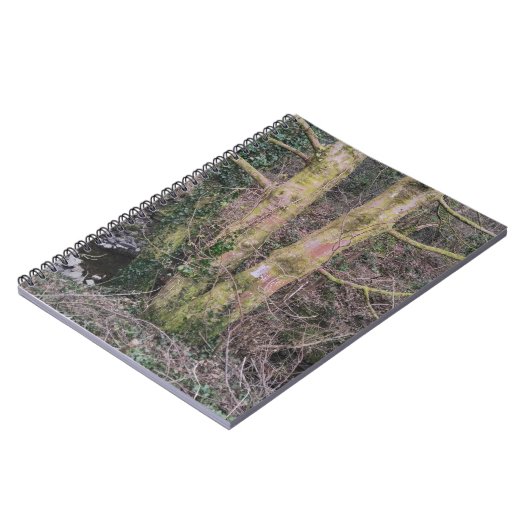 Spiegelbaum-Notebook Notizblock (Linke Seite)