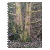 Spiegelbaum-Notebook Notizblock (Vorderseite)