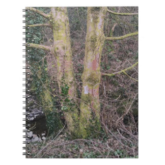 Spiegelbaum-Notebook Notizblock