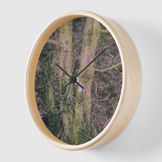 Spiegelbaum-Uhr Uhr (Winkel)