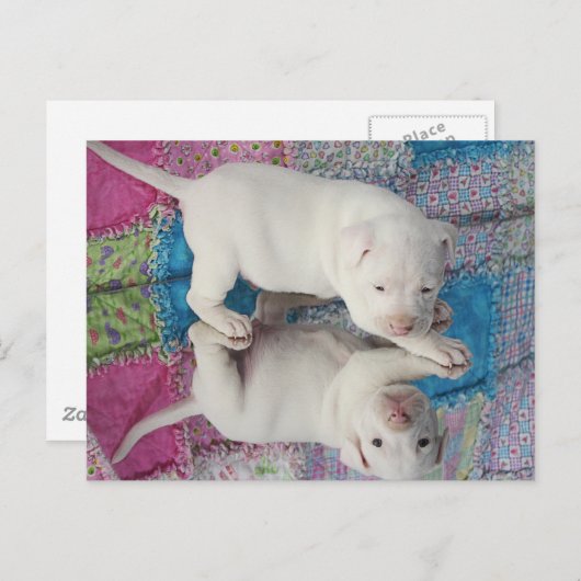 Spiegelbild Postkarte (Vorne/Hinten)