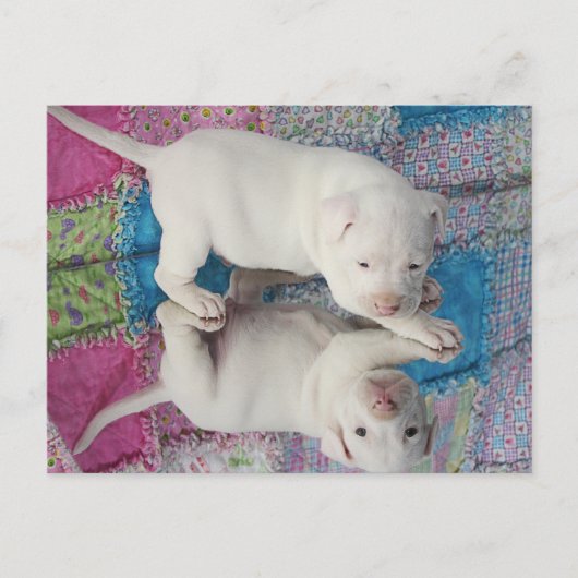 Spiegelbild Postkarte (Vorderseite)