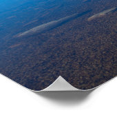 Spiegelbilder des Wiege- und Dove-Sees Poster (Ecke)