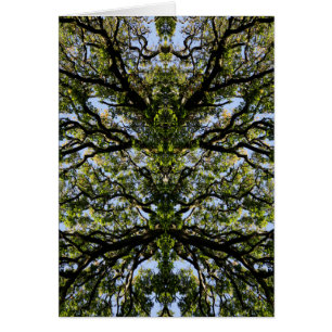 Spiegelbilderbäume