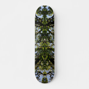 Spiegelbilderbäume Skateboard