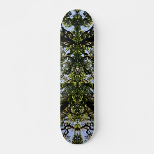Spiegelbilderbäume Skateboard (Vorne)