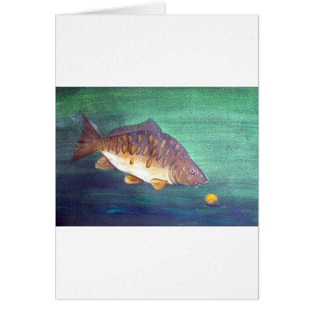 Spiegelkarpfen (Vorne)