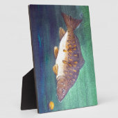 Spiegelkarpfen Fotoplatte (Seite)