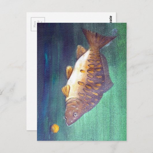 Spiegelkarpfen Postkarte (Vorne/Hinten)