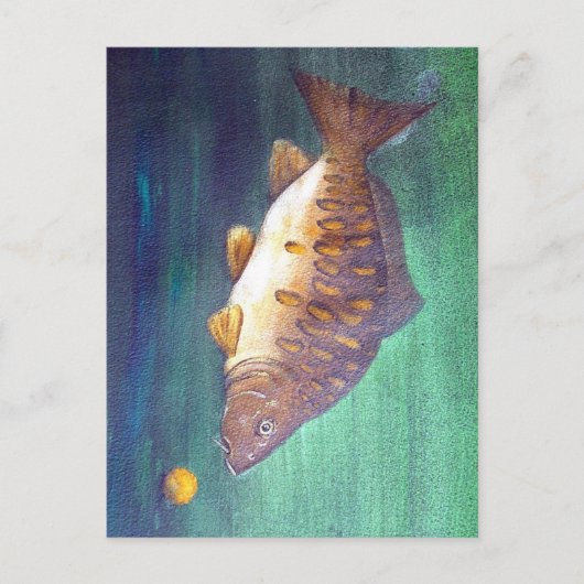 Spiegelkarpfen Postkarte (Vorderseite)