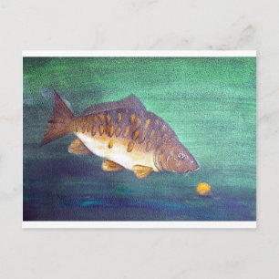 Spiegelkarpfen Postkarte