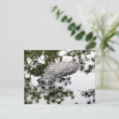 Spiegelreflexion in der Sumpf-Postkarte Postkarte (Stehend Vorderseite)