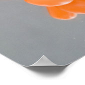 Spiegelrored Images Poster (Ecke)
