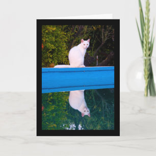 Spiegelung eines weißen Katzenporträts Karte