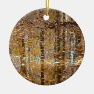 Spiegelung im Still Creek im Greenbelt Park Keramik Ornament