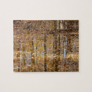 Spiegelung im Still Creek im Greenbelt Park Puzzle