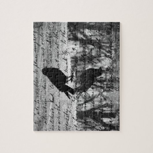 Spiegelungen der crow puzzle (Vertikal)