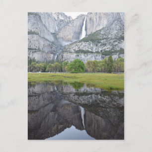 Spiegelungen der Fälle von Yosemite Postkarte