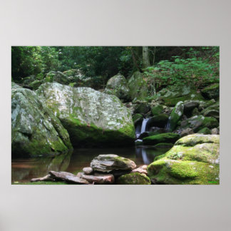 Spiegelungen der Mineral Creek Poster