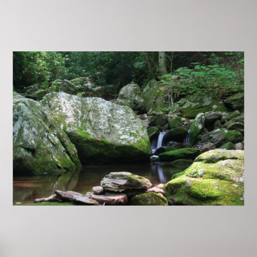 Spiegelungen der Mineral Creek Poster (Vorne)