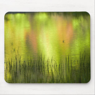 Spiegelungen im Mirror Lake   Yosemite Mousepad
