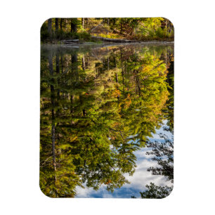 Spiegelungen im Red Eagle Pond   White Mountains Magnet