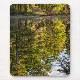 Spiegelungen im Red Eagle Pond White Mountains Mousepad