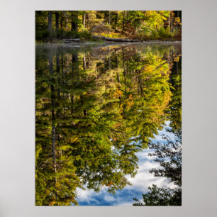 Spiegelungen im Red Eagle Pond White Mountains Poster