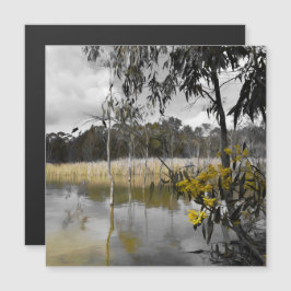 Spiegelungen unter der Magnetkarte des grauen Skie