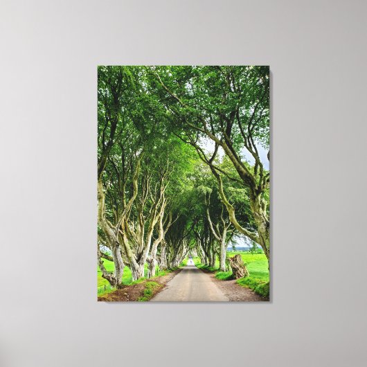 Spiel der Thrones-Wandkunst Leinwanddruck (Vorderseite)