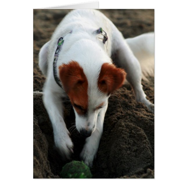 "Spiel hart! " (Vorne)