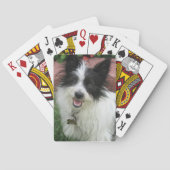 Spiel-Karten mit Kötern Spielkarten (Rückseite)