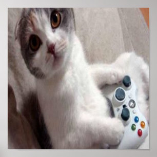 Spiel-Katze - Plakat