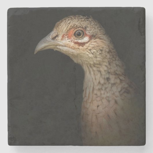 Spiel-Mädchen Steinuntersetzer (Vorderseite)