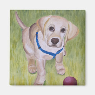 Spiel mit mir. Gelbes Labrador retriever Magnent Magnet