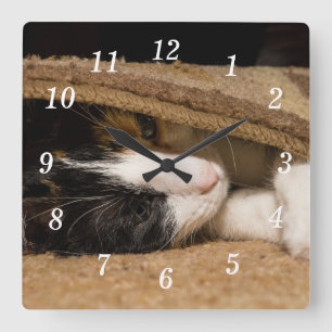 Spiel unter der Rucksackhalle Quadratische Wanduhr