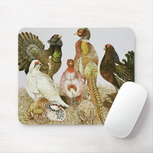 Spiel-Vögel Mousepad (Mit Mouse)