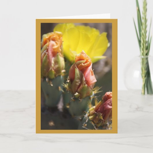 Spiel von Thorns Karte (Vorderseite)