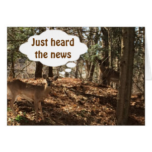 SPIELDECKEL: "SIE SIND ***21****