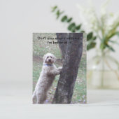 Spiele nicht dumm mit mir - ich bin besser.. postkarte (Stehend Vorderseite)