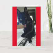 Spieleinladung Remote Chat Einladung (Vorderseite)