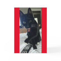 Spieleinladung Remote Chat