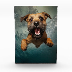 Spielelustiger Hund Schwimmt Unterwasser Design Fotoblock