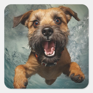 Spielelustiger Hund Schwimmt Unterwasser Design Quadratischer Aufkleber