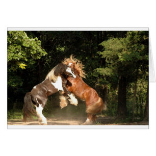 Spielen am Sonnenuntergang