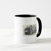 Spielen eines Lachses Tasse (VorderseiteRechts)