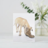 Spielen, Freundlichkeit, Neugier Postkarte (Stehend Vorderseite)