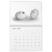 "SPIELEN MIT NAHRUNG"-Kalender Kalender (Jan 2027)