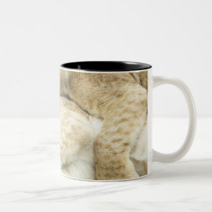 Spielen mit zwei Löwejungen Zweifarbige Tasse