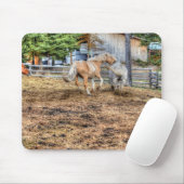 Spielen Palomino & White Ranch Pferd Mousepad (Mit Mouse)